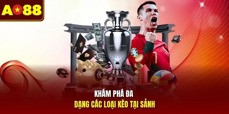 Khám phá đa dạng các loại kèo tại sảnh