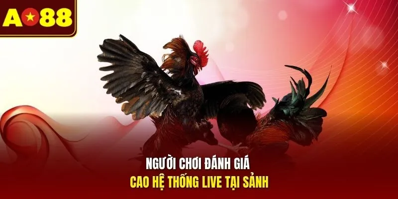Người chơi đánh giá cao hệ thống live tại sảnh