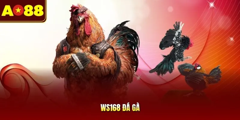WS168 Đá Gà - Cẩm Nang Kèo Cược Và Mẹo Chơi Hiệu Quả 2026